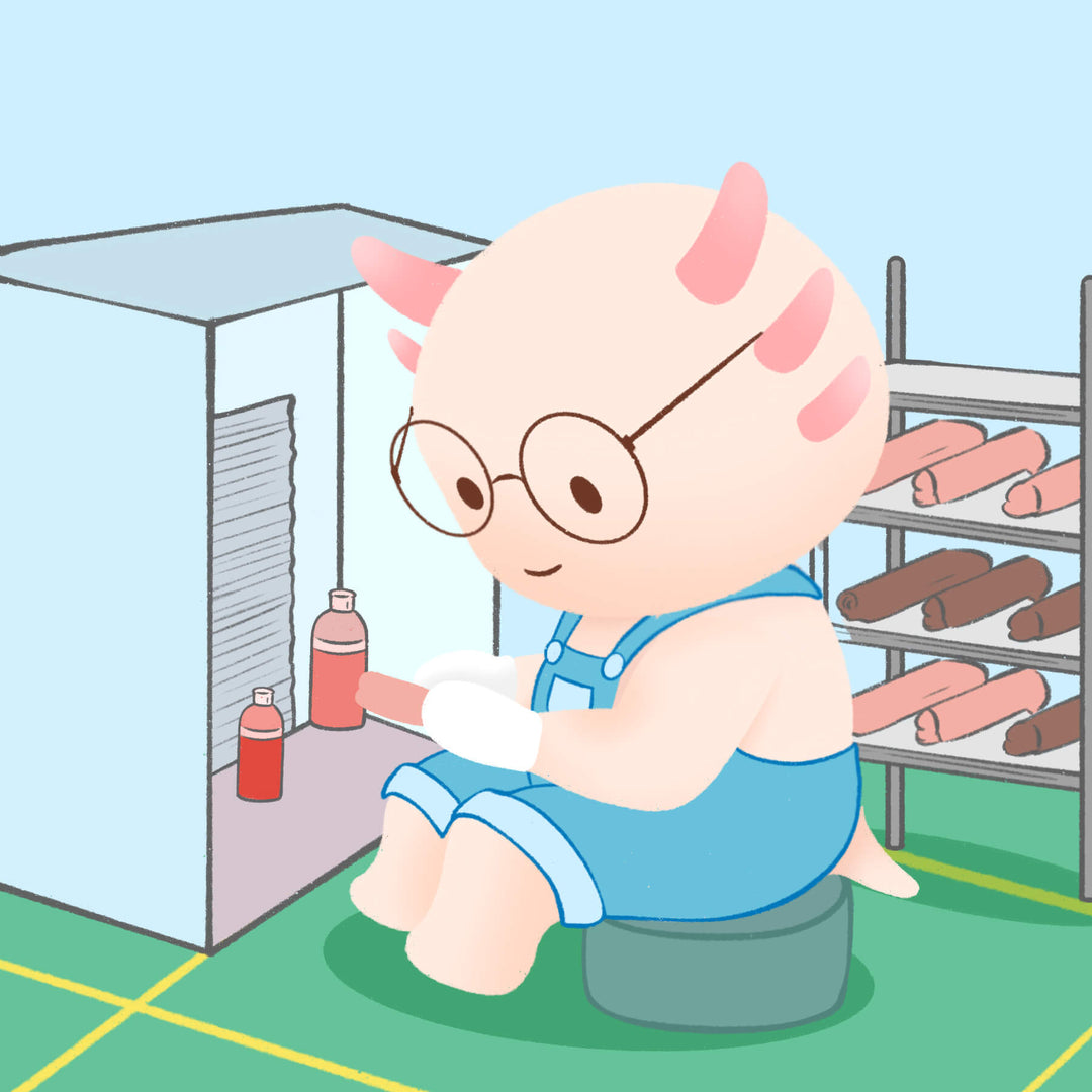 AXOLOM Anpassungsservice - Axolom